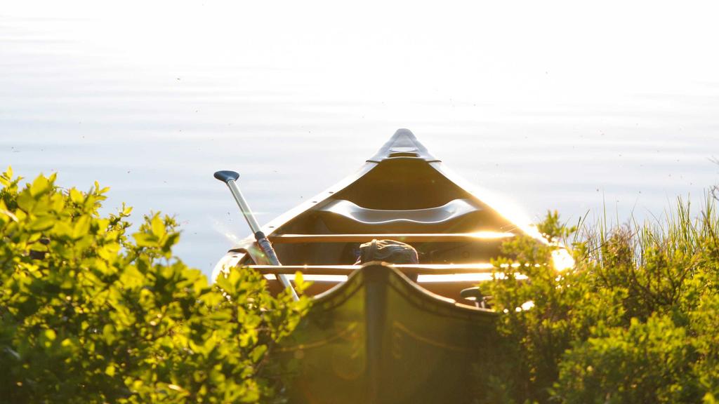 壬二酸+视黄醇：科学搭配与屏障修复全攻略