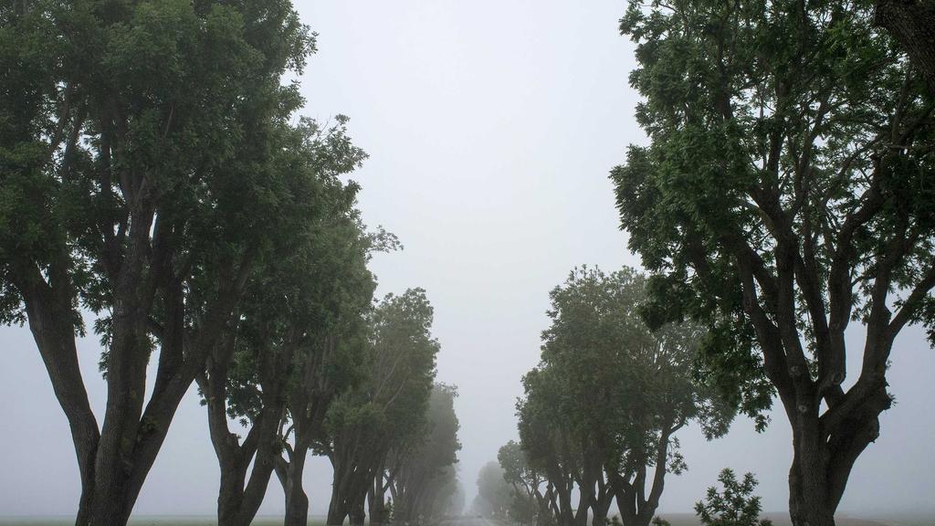 平价抗老秘籍：积雪草成分+眼霜排行，轻松告别初老肌