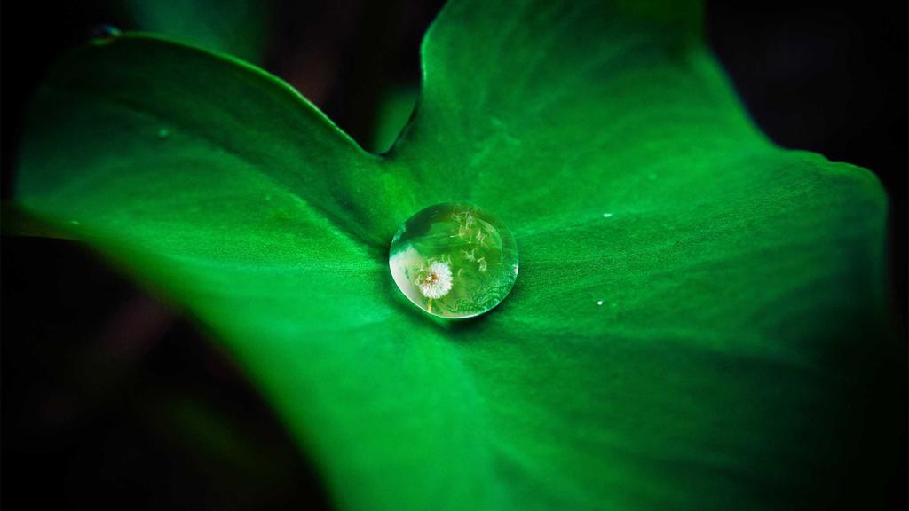 科学美白+屏障修护：维生素C的黄金护肤法则